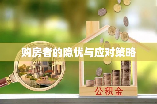 贷款购房者的隐忧与应对策略