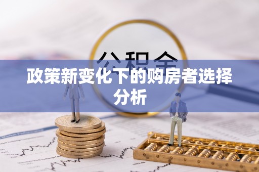 贷款政策新变化下的购房者选择分析