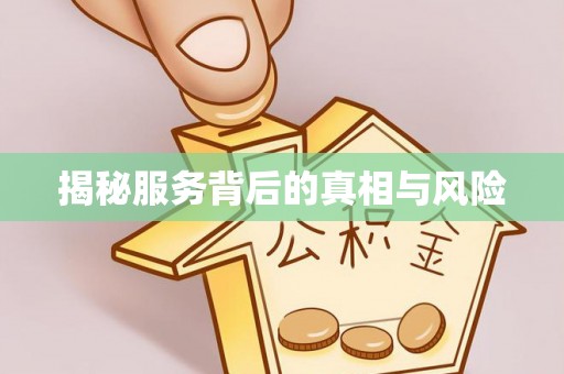 贷款揭秘服务背后的真相与风险