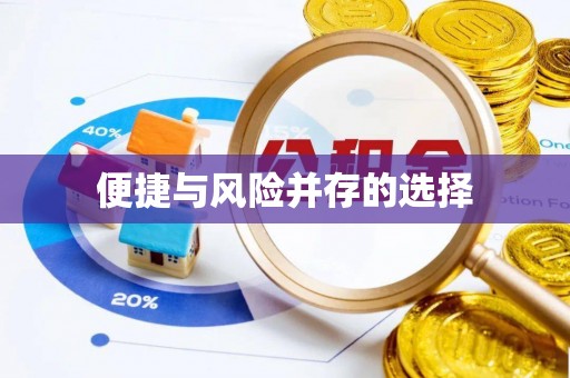 贷款便捷与风险并存的选择